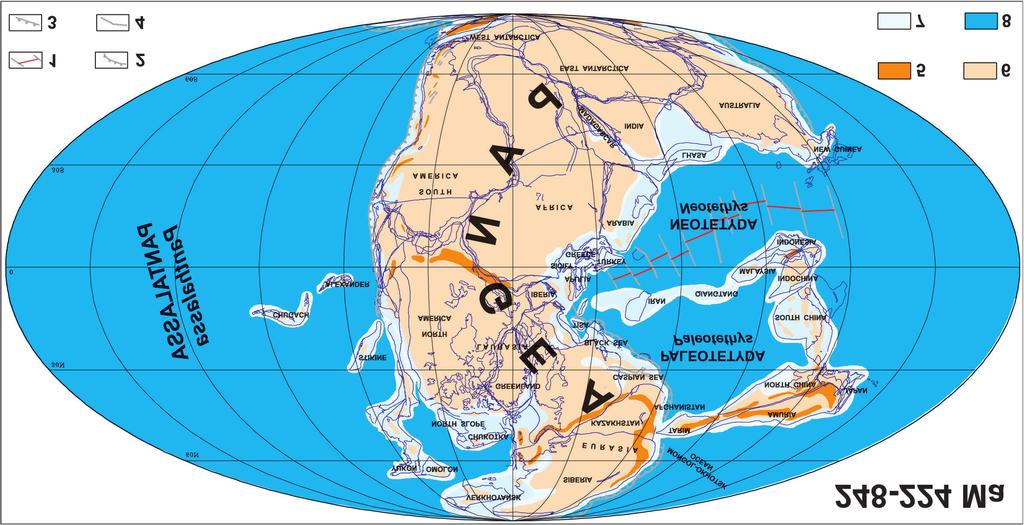 82 M. Krobicki & J. Golonka Fig. 2.