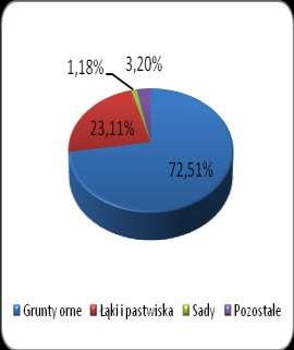 Gleby klas bonitacyjnych IIIa i IIIb zajmują 2,97 % powierzchni gruntów ornych (w Sosnowie nie występują), grunty klasy IVa i IVb 16,65 % powierzchni gruntów ornych (w Sosnowie nie występują), zaś