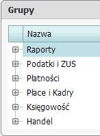 Z poziomu listy możliwe jest: Przeglądanie listy raportów. Modyfikowanie raportu.