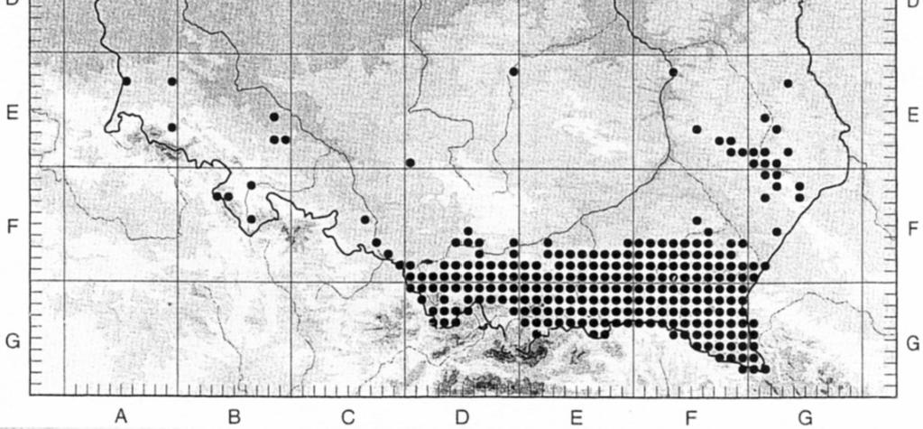 .. 2001), updated Tabela 1 Spisy florystyczne dla stanowiska Salvia glutinosa nad jeziorem Rusałka List of floristic records for the locality of Salvia glutinosa near Lake