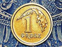 Blisko pół miliona złotych na Fundusz Sołecki, czyli na co? Napisano dnia: 2017-11-20 13:37:05 W budżecie na 2018 rok Gmina Lwówek Śląski zaplanowała wydanie 447.