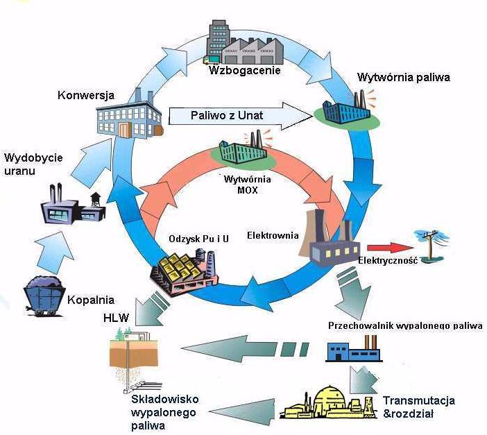 Schemat cyklu