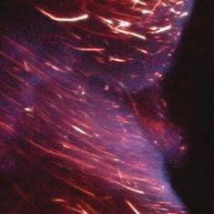 6. The successive stages of the oxygen-aided burning out process carried out in a thermal reclaimer unit: A sand surface heated for 3 minutes; B start of oxygen blowing; C burning out process; D the