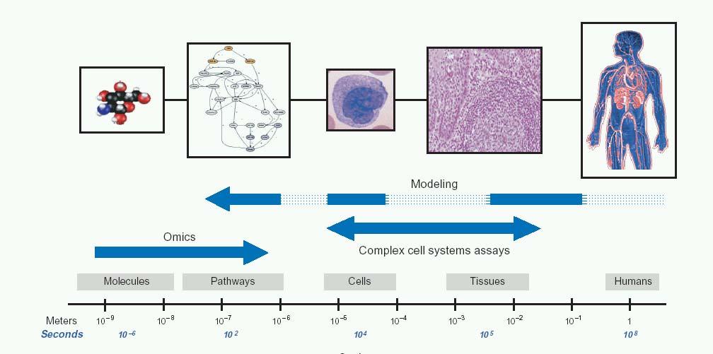 Zakres zainteresowań bioinformatyki Objects: small molecules, structural motifs and domains, proteins, transcripts, genes,