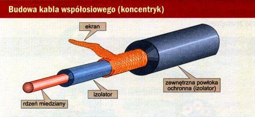 Okablowanie kabel koncentryczny Kabel koncentryczny jest zbudowany z rdzenia miedzianego otoczonego izolatorem.