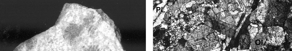 oraz drobnokrystaliczna struktura otaczającego chondry ciasta skalnego, zawierającego oprócz oliwinów i piroksenów także minerały ciemne: chloryty, grafit oraz inne ziarna. Fig. 1.