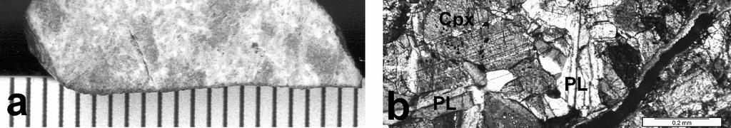 Główne minerały meteorytu: plagioklaz (PL) (biały na rys (a)), klinopiroksen (Cpx) (ciemnoszary na rys (a)), troilit (jasnoszary na rys (a)), oliwin (OL). (a) Skala milimetrowa, (b) Skala 0.2 mm. Fig.