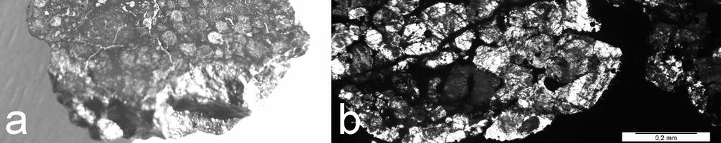 2006b) i techniki płytek cienkich także spektroskopia Ramana wskazują, że w meteorycie NWA 4039 dominują plagioklazy, o dużej zawartości anortytu Ca[Al2Si2O8], oraz pirokseny wapniowe, głównie