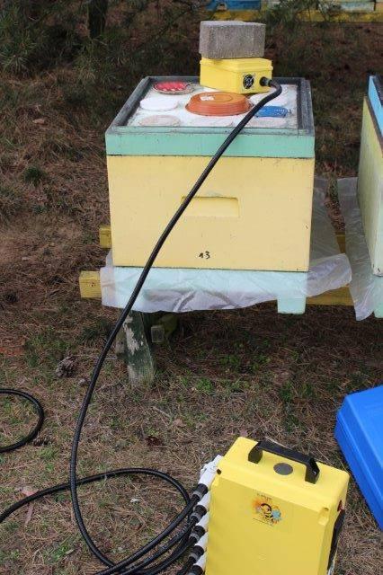 rodzin. Może ono wyeliminować roztocze Varroa, a także inne infekcje pszczół.
