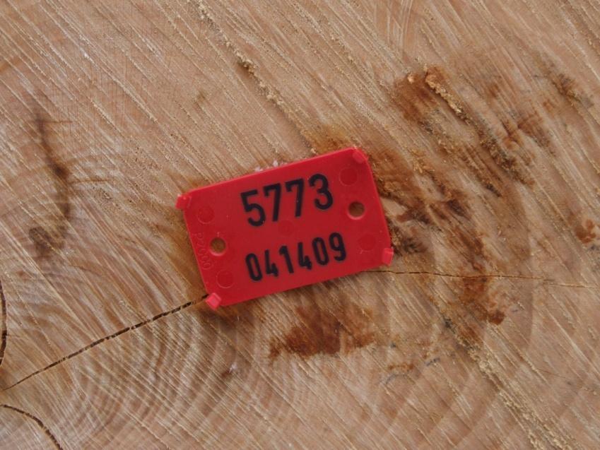Inne oznaczenia spotykane w leśnictwie. Numerowanie drewna.