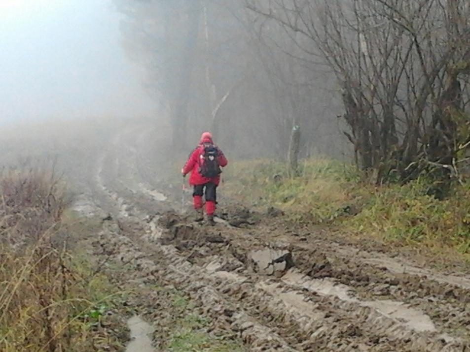 Kolizja interesów: