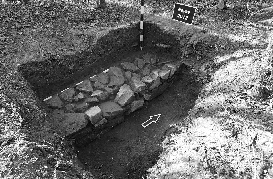 AGNIESzKA ToMAS In the course of a field survey in 2013 numerous places with traces of modern robbery trenches were localised. one of these trenches contained a fragment of solid wall about 0.