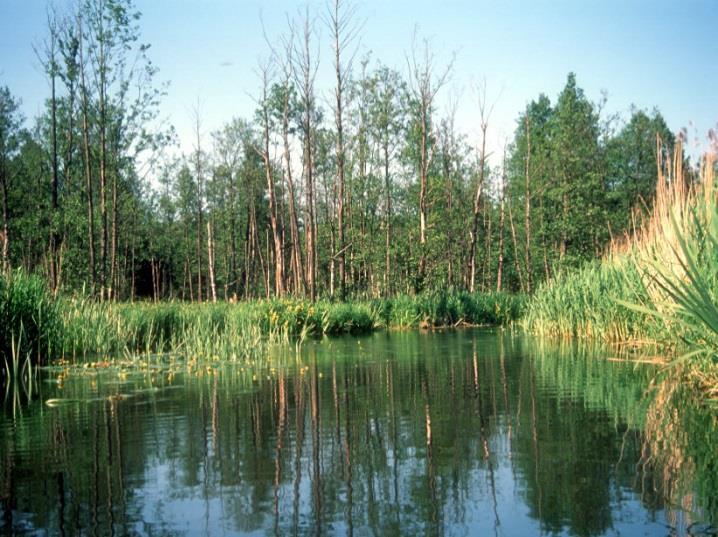 terenach rolnych i zurbanizowanych); Unikanie wzrostu zagospodarowania na obszarach