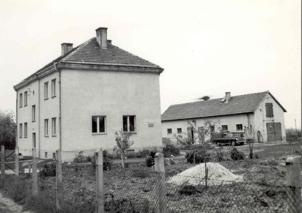 Eugeniusz 1959-1960 Brodnica