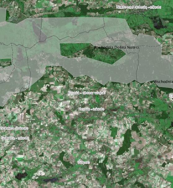 Aktualizacja Programu Ochrony Środowiska dla Gminy Kcynia Green Key Za ustanowienie form ochrony przyrody i planów ochrony odpowiedzialne są odpowiednie organy wskazane w ustawie o ochronie przyrody.