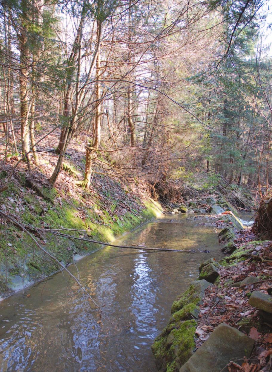 Chrońmy Przyr. Ojcz. rocznik 67, zeszyt 4, 2011 Ryc. 6. Rynna erozyjna w potoku Gościbia (2009 r., fot. K. Miśkiewicz) Fig. 6. Erosional channel in the Gościbia stream (2009, photo by K.