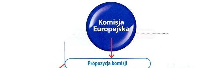 W wyniku wspólnej inicjatywy Parlament Europejski i Rada Unii Europejskiej wezwały (2007) do szybkiego wdrożenia
