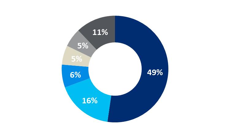 Koszty operacyjne i koszty ryzyka Koszty działania i amortyzacja (mln zł) Koszty działania i amortyzacja (%) w ujęciu rodzajowym -4% / +1% z wył. opłat na BFG -16% / +3% z wył.