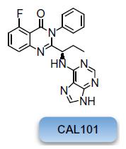 Idelalisib is a propeller-shaped p110δ-selective inhibitor that induces the formation of