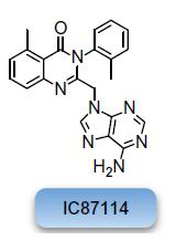 potency toward p110δ, which is reflected in its greatly lowered halfmaximal inhibitory