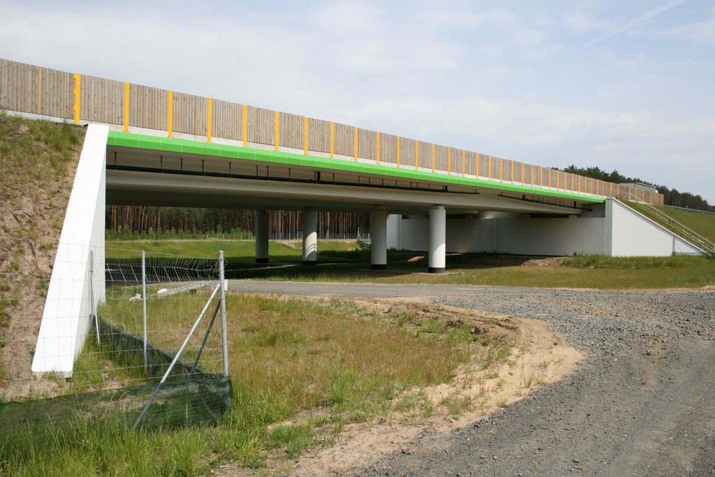 h) przedmiotowy odcinek drogi posiada system odwodnieniowy stosunkowo przyjazny dla płazów brak niebezpiecznych pułapek w strefach dostępnych dla zwierząt; niestety liczne zbiorniki retencyjne