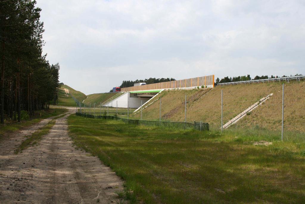 Fot. 10. Przejście dla dużych zwierząt k.