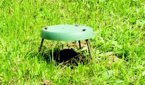 Baited traps were used to collect coprophilous beetles (Fig. 2). Fig. 2. Dung beetle traps used in the studies. Photo by A. Górz.