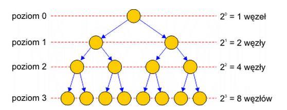 Dla regularnego drzewa binarnego liczba węzłów na poziomie k-tym jest zawsze równa 2k.