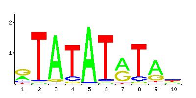 Position-specific scoring matrix Wstęp Pojęcia Motywy A 25 1 74 0 78 1 41 2 53 12 C 13 2 2 9