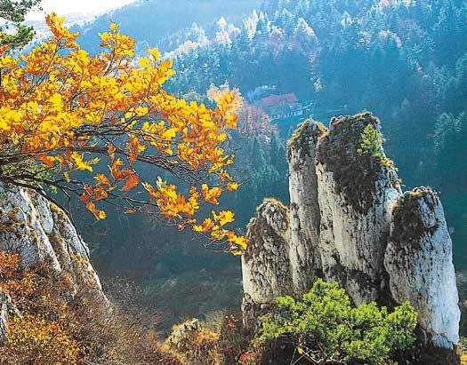 Tornando da Ojcòw per Sąspów e Jerzmanowice, vale la pena visitare la Grotta Wierzchowska Górna, la più interessante della regione della Jura e adattata alle necessità dei turisti.