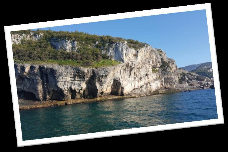 Tikiuosi kiekvienas kaţkada gaus tokią galimybę patirti tą, ką patyriau aš. Grytė Leonavičiūtė Turkija - šalis, kurioje vyrauja chaosas.