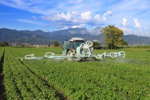 .pl https://www..pl W zapobieganiu występowania szkodników pomaga regularne czyszczenie maszyn i sprzętu. 3. Wykonanie zabiegów chemicznych tylko wtedy, kiedy jest to potrzebne.