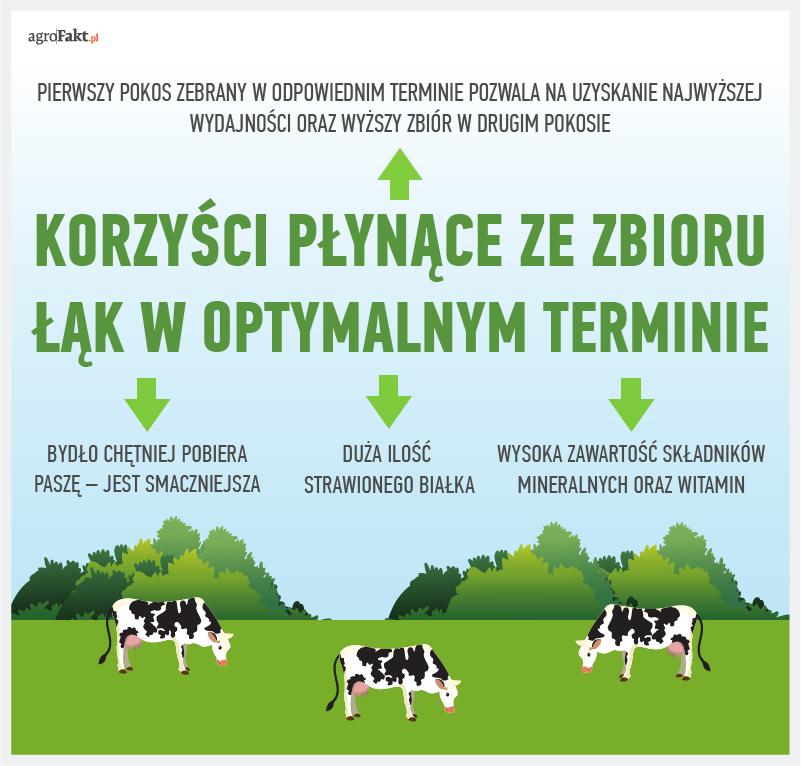 .pl https://www..pl Korzyści płynące ze zbioru pierwszego pokosu w optymalnym terminie. Ze zbioru traw w tym okresie płyną liczne korzyści.