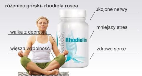 html Rhodiolin 120 kaps- różeniec górski Cena 112,40 zł Numer katalogowy CV0128 Opis produktu Rhodiolin Różeniec górski