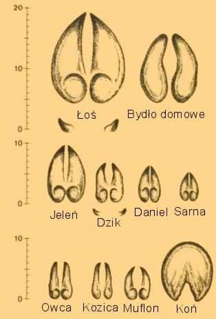 (Ciąg dalszy ze strony 6) 7 plon i cena mamy do czynienia z otwartą grą interesów, w której wygrywa silniejszy (czytaj\: lepiej poinformowany).