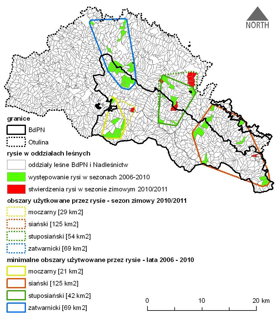 RYŚ (Lynx lynx) W sezonie 2010/2011 uzyskano niewielką ilość danych dotyczących rysi - zarówno na obszarze BdPN, jak równieŝ w otulinie Parku.