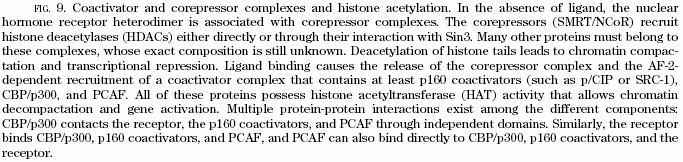 Coactivators and corepresors and histone