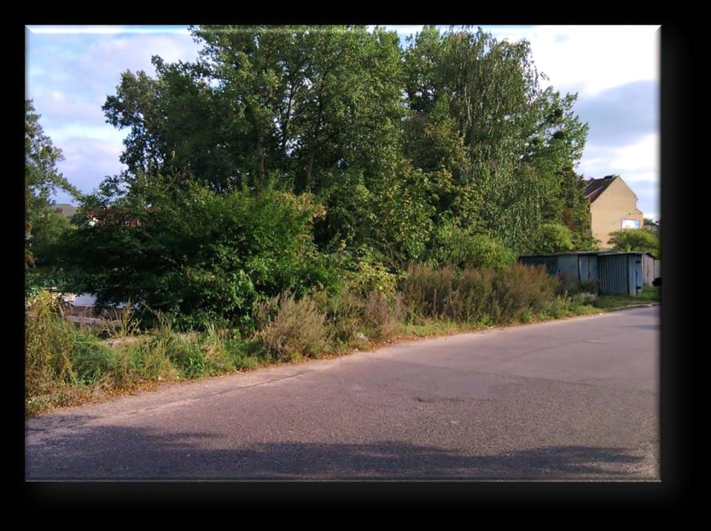 (Fürstenstrasse) z ul.