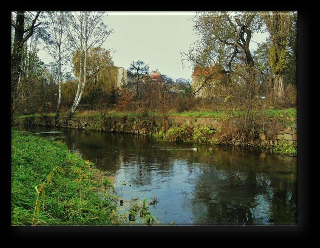 widok na szpital miejski