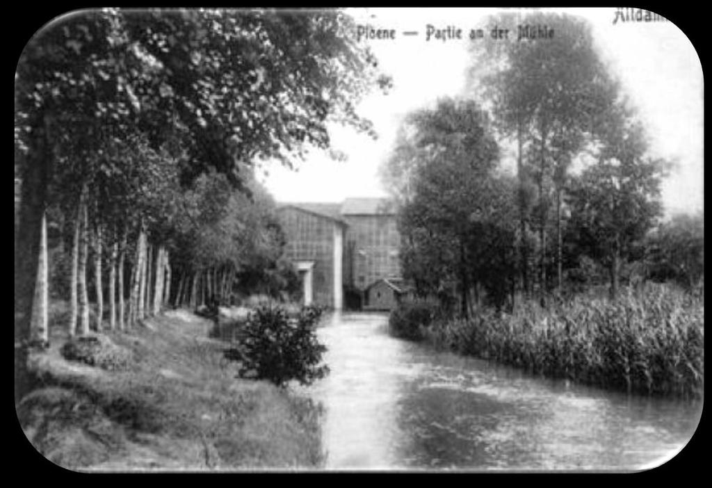 Widok na młyn