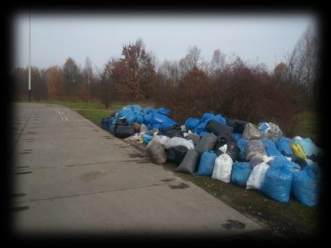 2. KONTROLA GOSPODARKI ODPADAMI Ważnym elementem działań, mających na celu poprawę stanu sanitarno