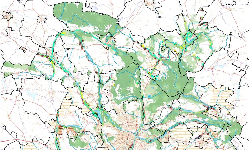 Kształtowanie Zielonej Infrastruktury Metropolii Objaśnienia Wytyczne dla ochrony zielonej infrastruktury Istniejące elementy zielonej infrastruktury planowany użytek ekologiczny Chyby o znaczeniu