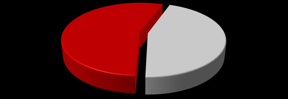 Wyroby formowane wypalane 49,3% Wyroby pracochłonne 4,8% Wyroby złożone 6,4% hutnictwo żelaza i stali - wzrost sprzedaży ogółem o 11,6%