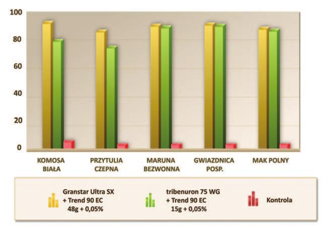 przetaczniki, samosiewy rzepaku, rumiany, maruna bezwonna.