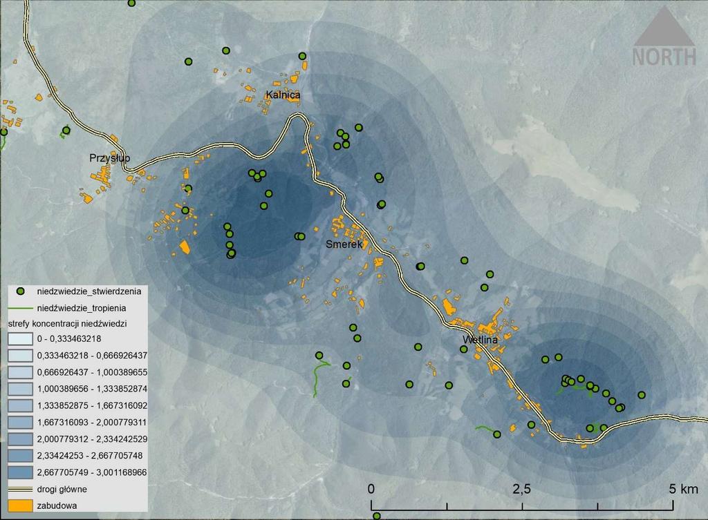 MONITORING NIEDŹWIEDZI Określone strefy koncentracji gatunku (promień wyszukiwania (search radius) 2500 m 2 ; wyjściowa wielkość komórki rastra (output cell size) 5 pikseli) dotyczą NE rejonu Wetliny