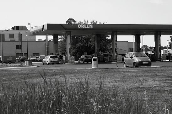 Należy pamiętać o tym, że nie za każdym razem, kiedy pojawi się na naszej plantacji szkodnik, musi być on od razu zwalczany, pomocne w podjęciu takiej decyzji są żółte naczynia napełnione wodą z