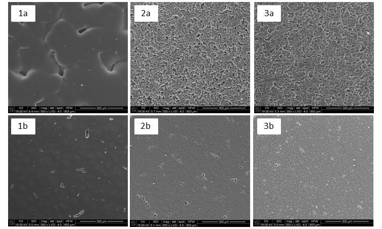 możliwości wykorzystania otrzymanych nanocząstek w terapii antynowotworowej metodą hipertermii magnetycznej wykazały, że połączenie nanorurek węglowych z cząstkami magnetycznymi, w ściśle określonym