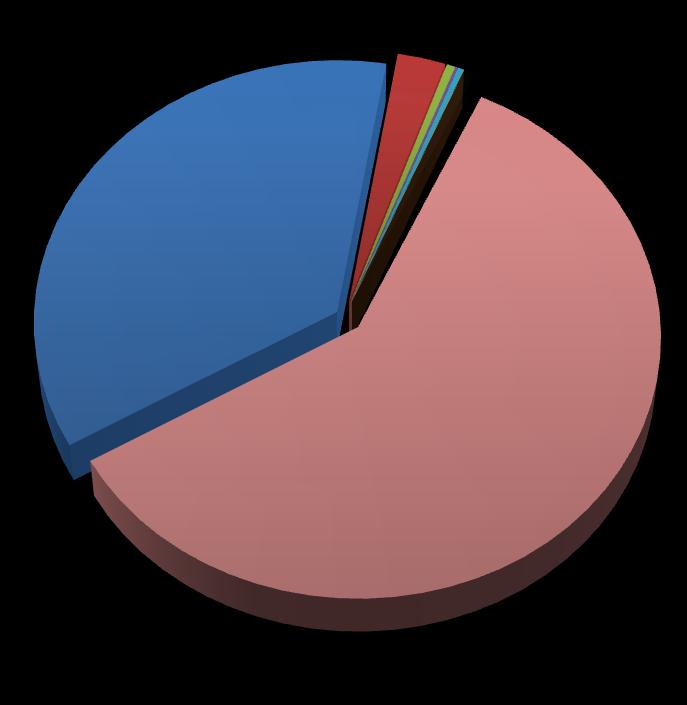 0,48% 0,15% 0,33% 0% 2,70% 0,63% język angielski język niemiecki język francuski 36,48% język rosyjski język hiszpański język włoski 60,52% inny język