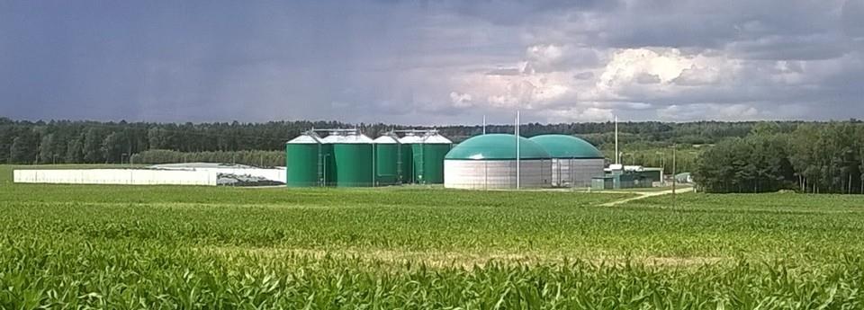 INNOWACYJNE ROZWIĄZANIA TECHNOLOGICZNE 1. W Polsce wiele biogazowni rolniczych było budowanych w niemieckiej technologii Nawaro, wykorzystującej jako substrat przede wszystkim kiszonkę z kukurydzy. 2.
