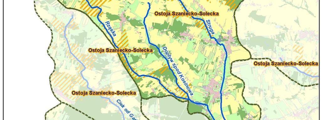 charakterystykę obszaru Natura 2000 znajdującego się na terenie jednostki Z04. SOO Ostoja Szaniecko-Solecka (PLH260034) stanowi ok. 19% powierzchni jednostki Z04.
